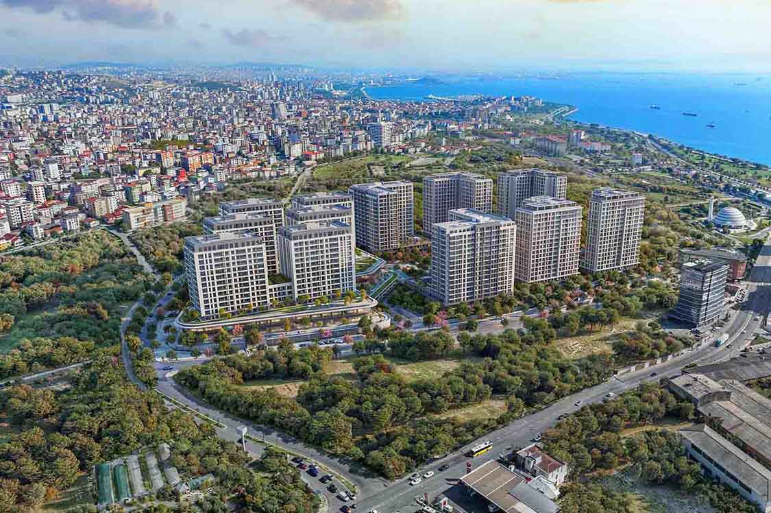 Kuzey Adalar Kartal — photo 2